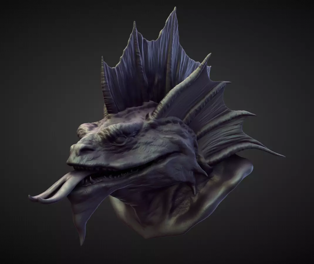 HEAD56 high poly sculpt 3D model_0