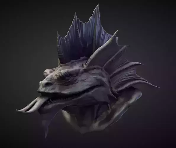 HEAD56 high poly sculpt 3D model