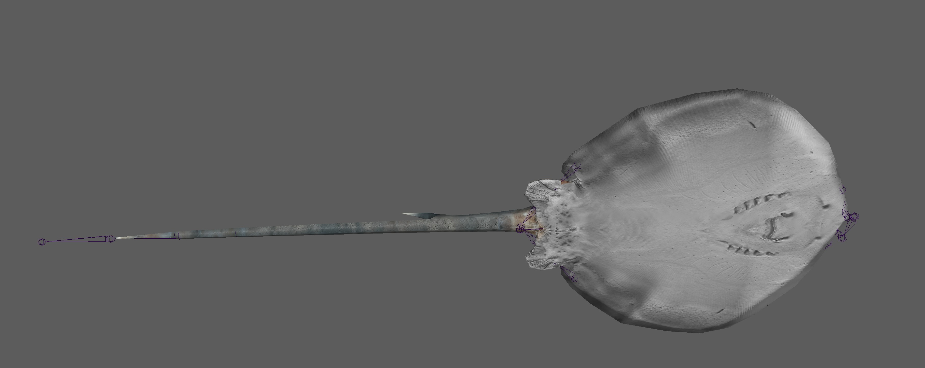 Stingray Fish Rig Low-poly 3D model_16