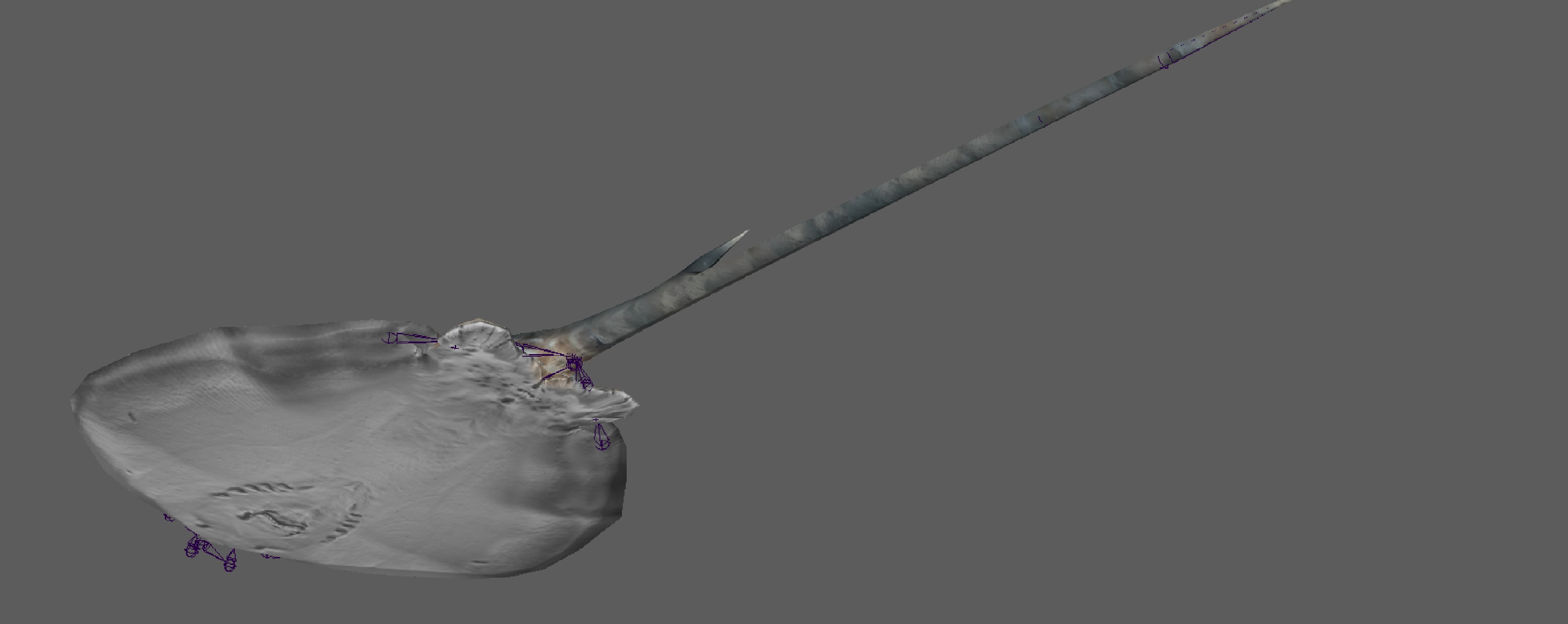 Stingray Fish Rig Low-poly 3D model_17