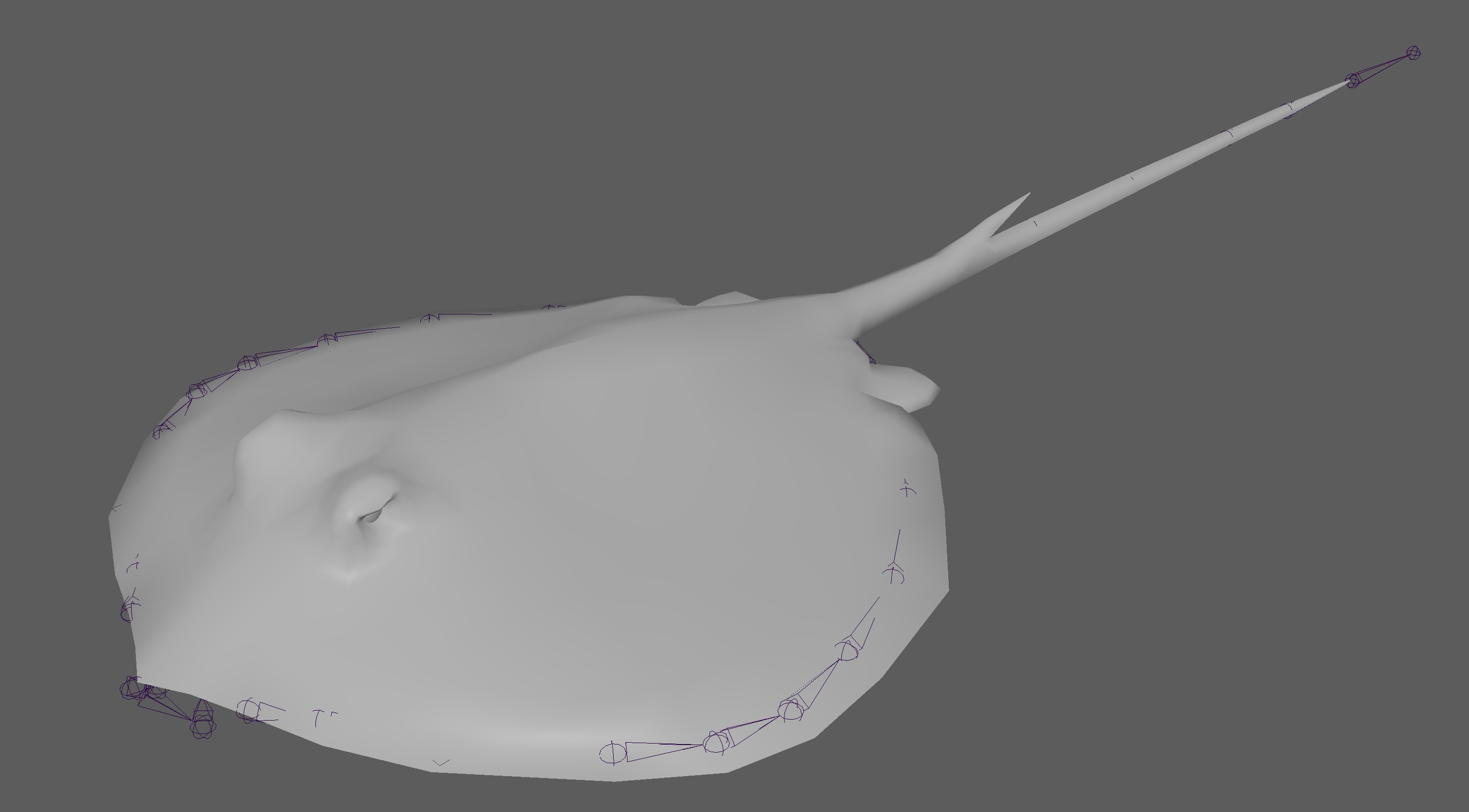 Stingray Fish Rig Low-poly 3D model_8