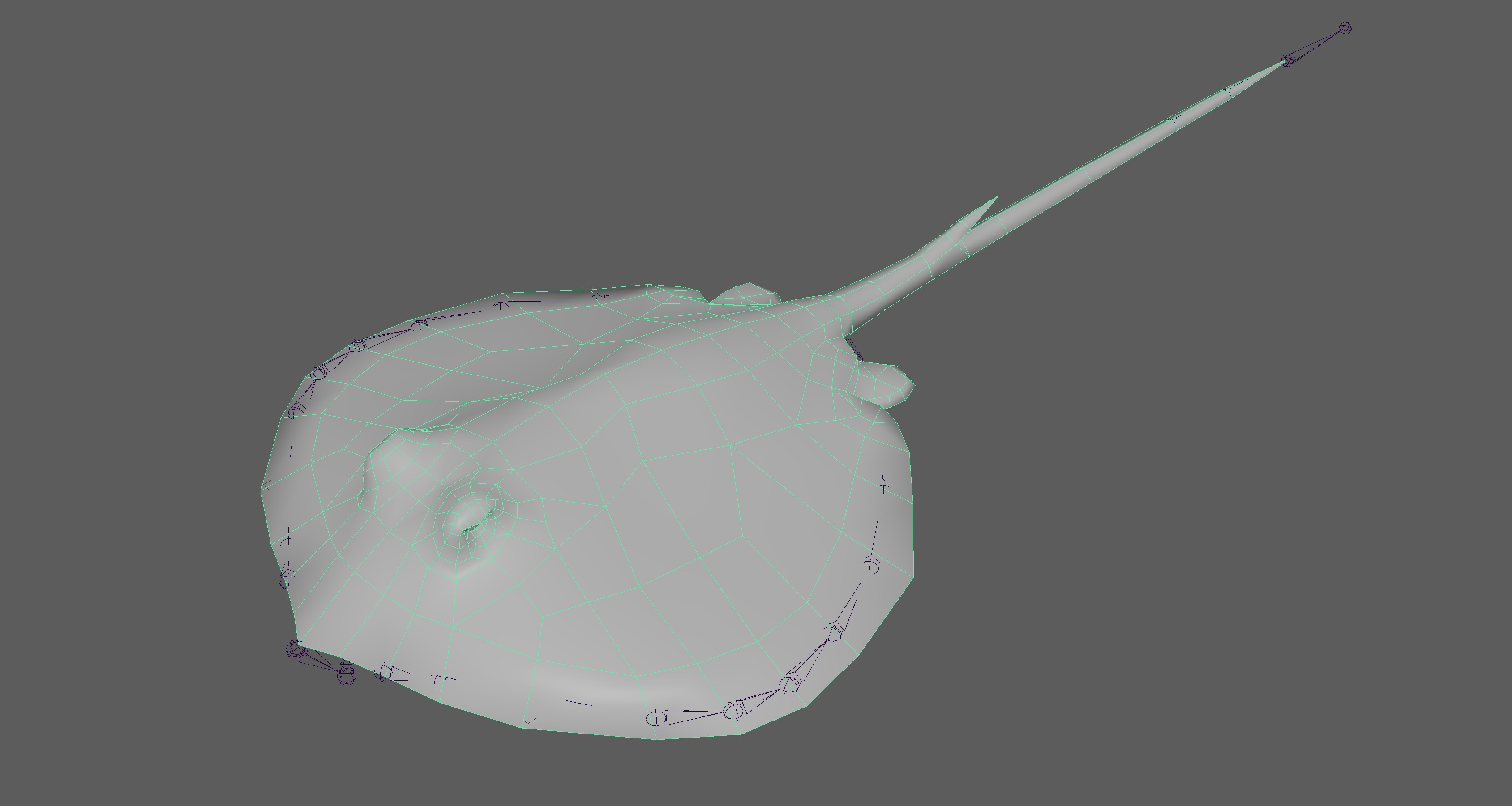 Stingray Fish Rig Low-poly 3D model_11