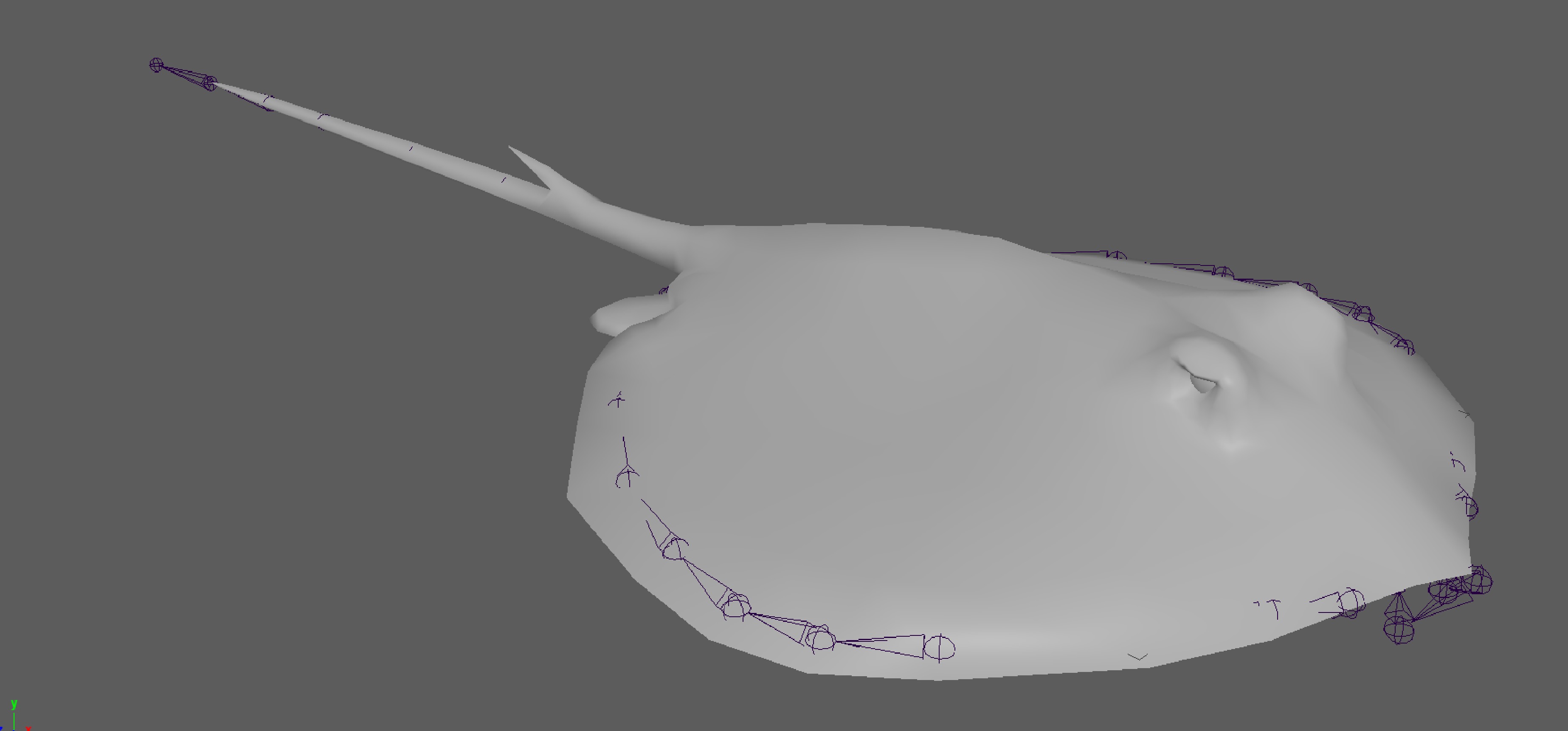 Stingray Fish Rig Low-poly 3D model_14
