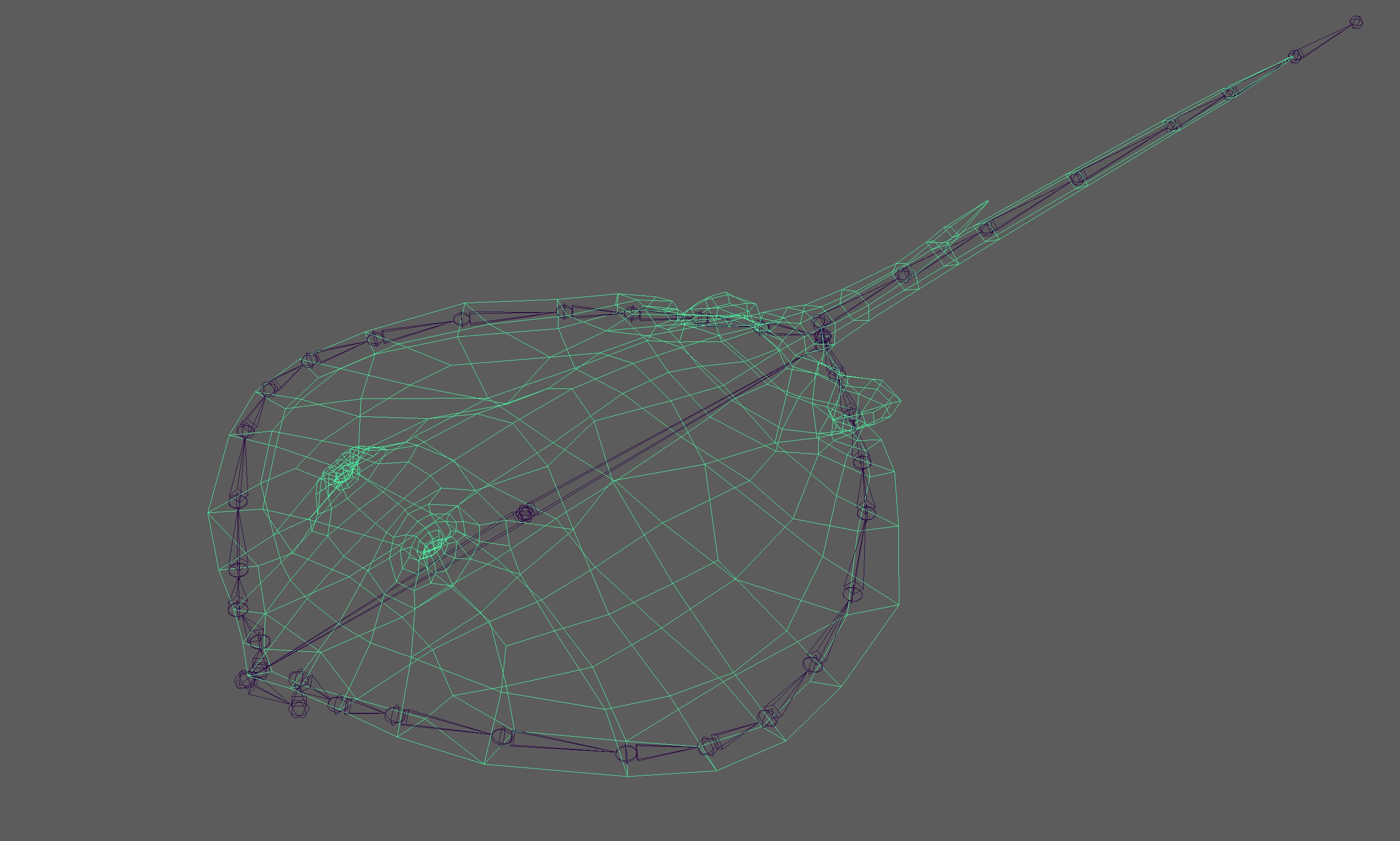 Stingray Fish Rig Low-poly 3D model_12