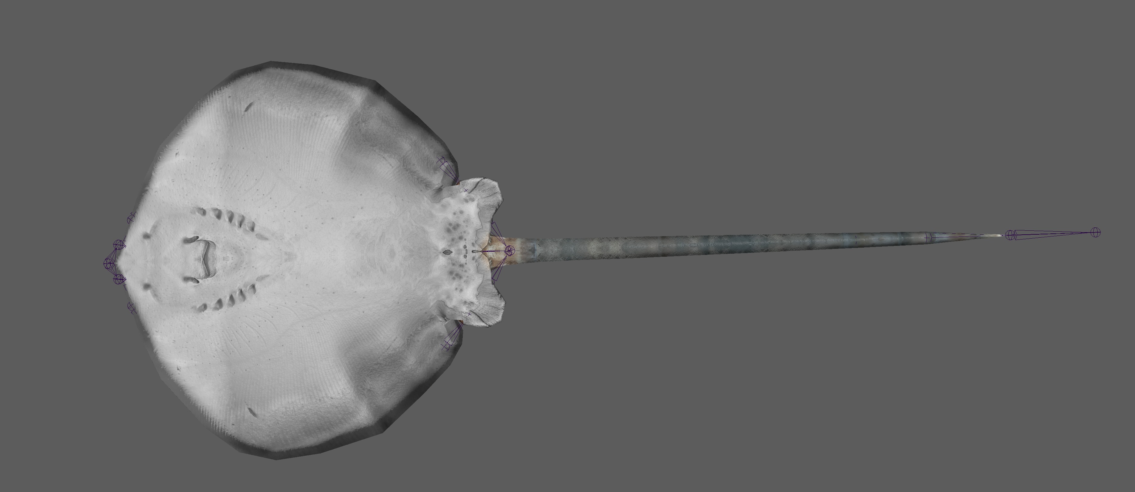 Stingray Fish Rig Low-poly 3D model_9