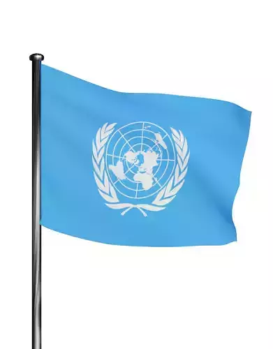 United Nations Flag  UN 3D model