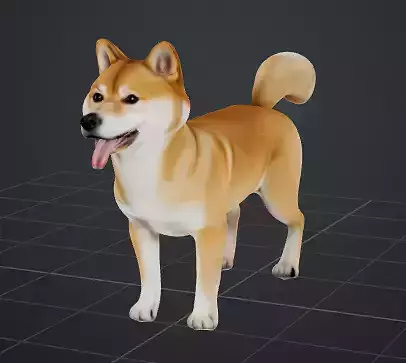 Dog Model - Shiba