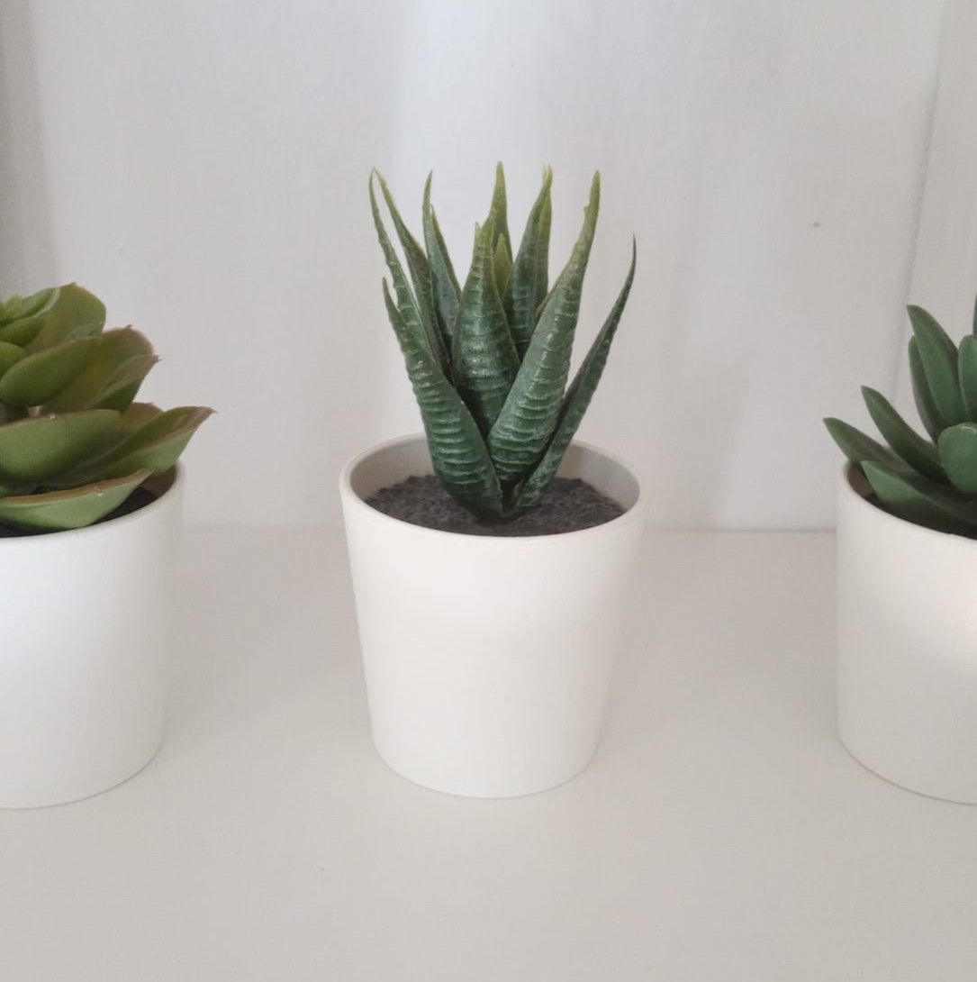 Flowerpot 3D print model_5