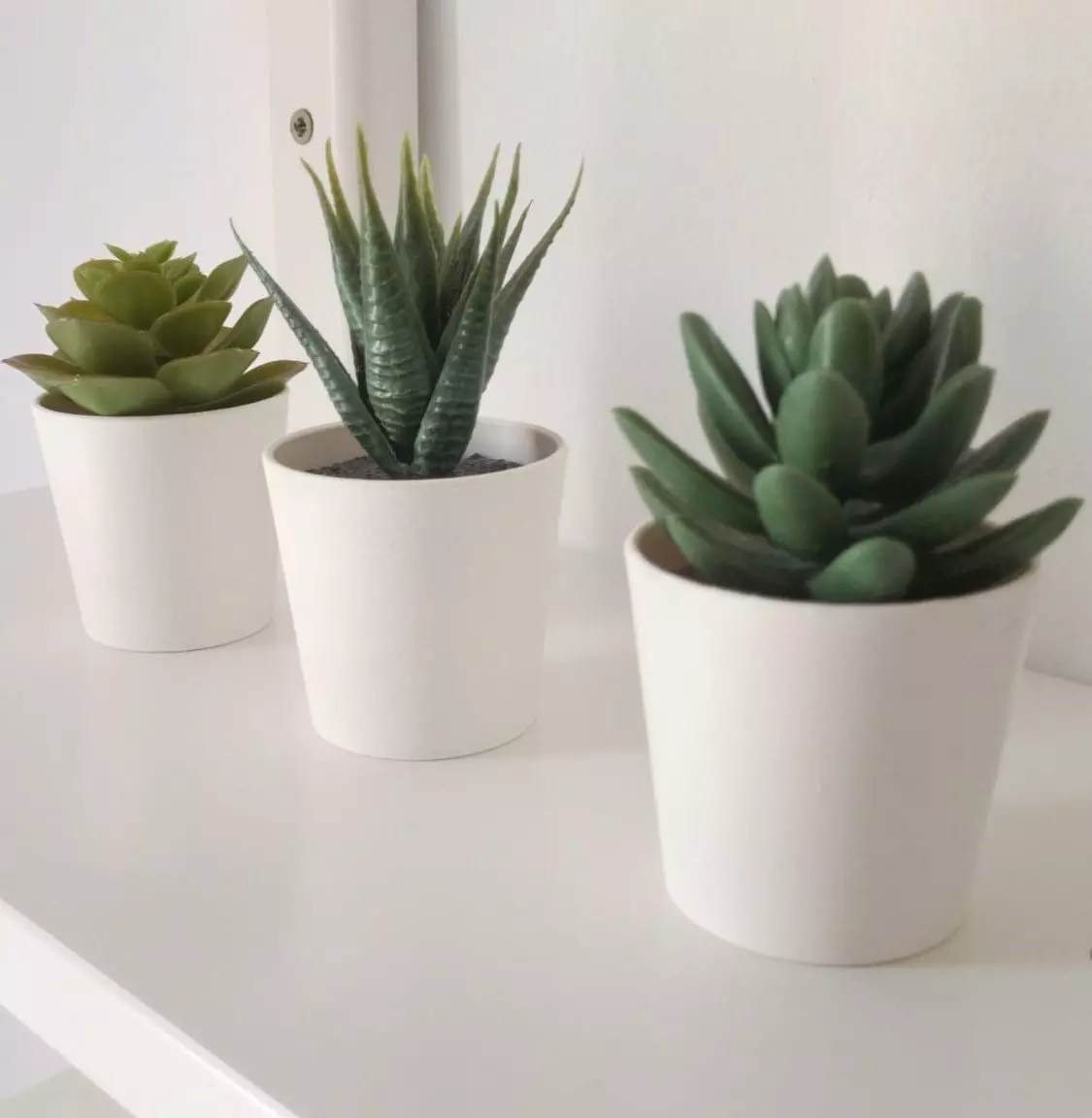 Flowerpot 3D print model_0