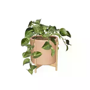 Modern Display Cabinet 3D Model for Home Decor