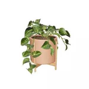 Modern Display Cabinet 3D Model for Home Decor Low-poly 3D model_0