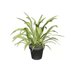Artificial Plant for Interior Design and Home Decor