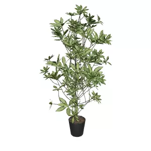 Schefflera Plant 172 cm for Interior Design Low-poly 3D model_0