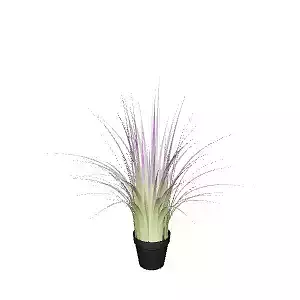 Grass Plant 70 cm