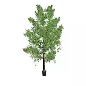 Mini Artificial Ficus Plant for Interior Design