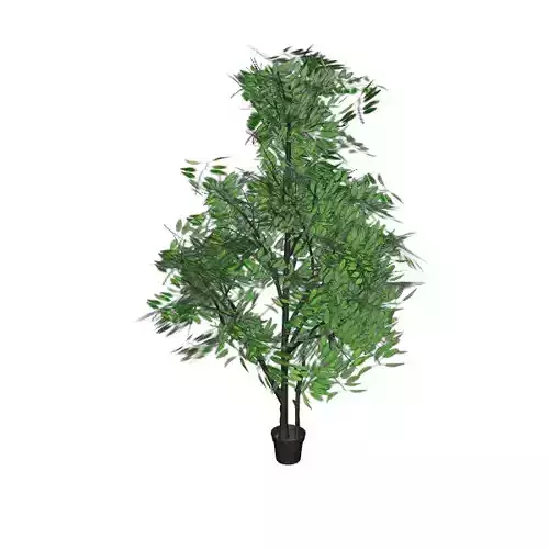 Plant for Indoor and Outdoor Decoration Low-poly 3D model
