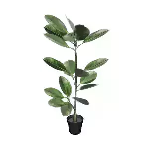 3D Model of Artificial Rubber Plant Decorative Indoor Furniture