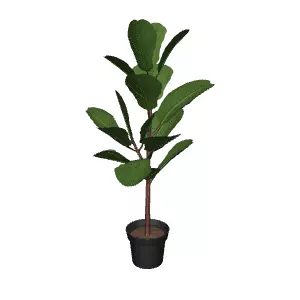 Artificial Ficus Lirata Plant 3D Model for Furniture Decor Low-poly 3D model_0