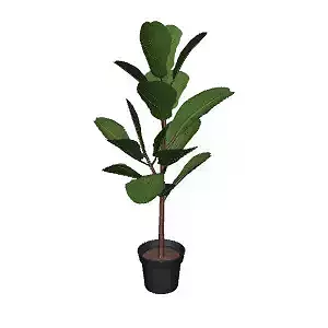 Artificial Ficus Lirata Plant 3D Model for Furniture Decor