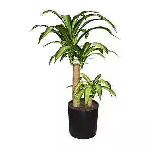Artificial Dracaena Plant - Realistic Indoor Greenery Decor