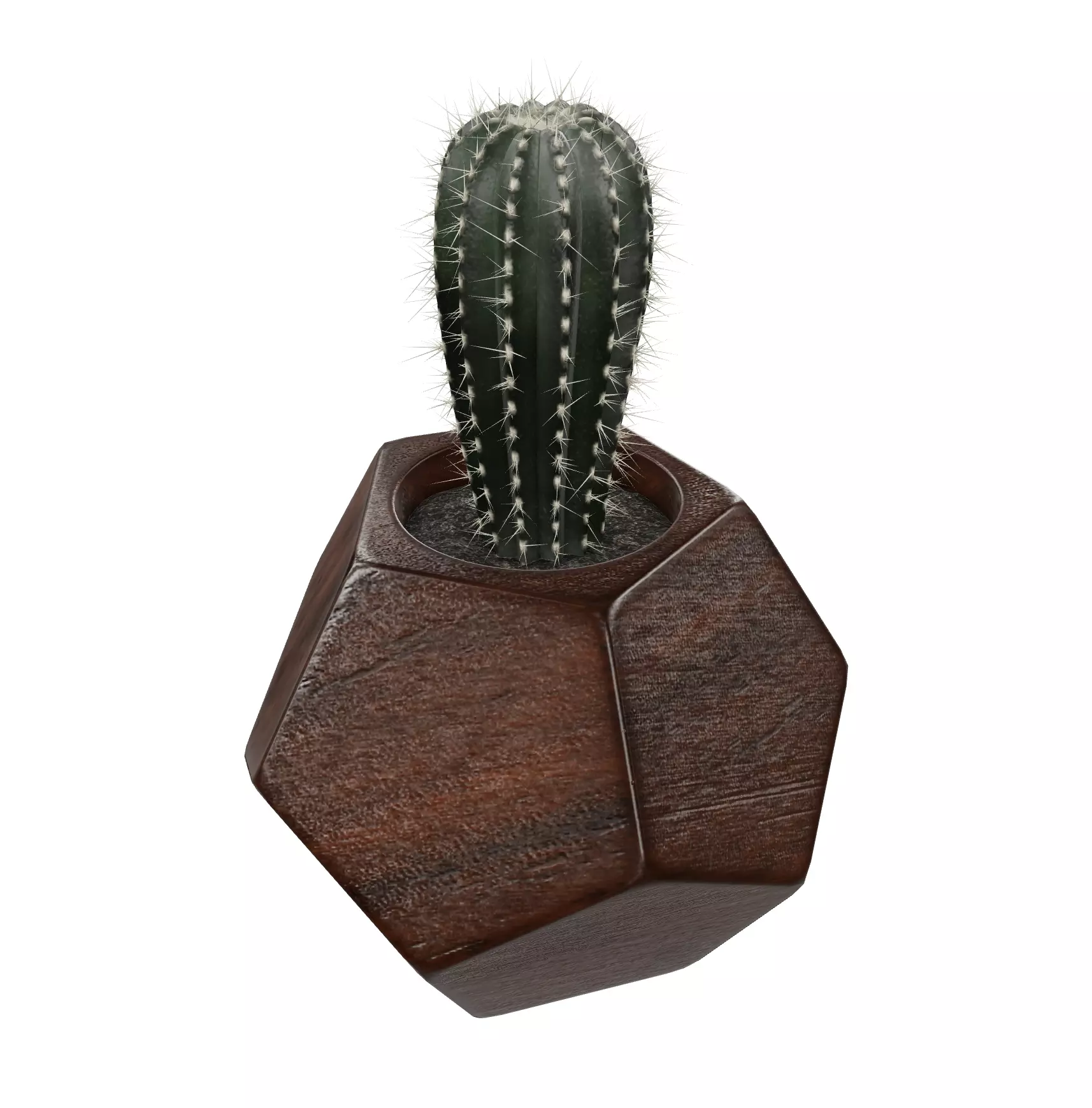 3D Decorative Cactus in Geometric Planter Low-poly 3D model