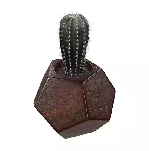 3D Decorative Cactus in Geometric Planter