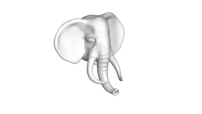 Elephant Head