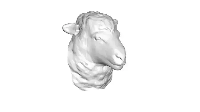 Sheep Head