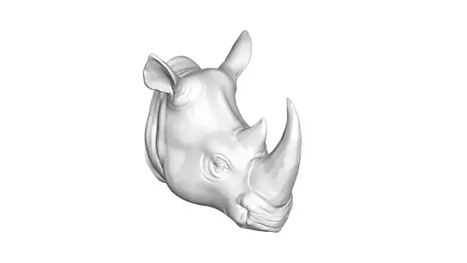 Rhino head