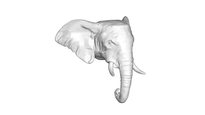 elephant head
