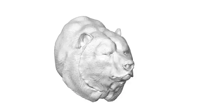 Bear head