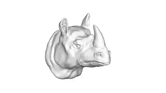 Rhino head