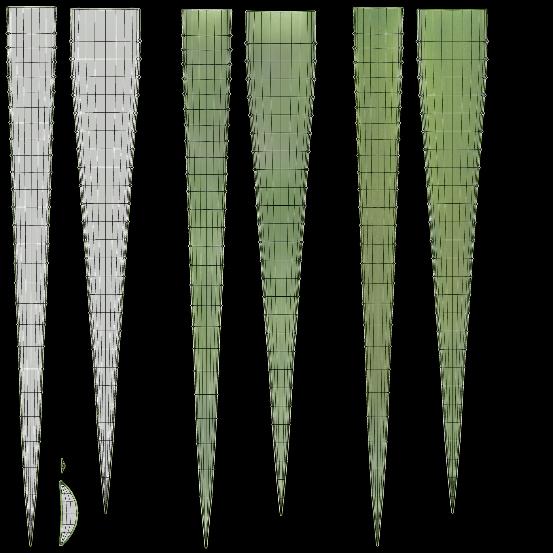 Aloe Vera 3D model_4