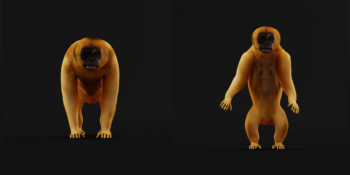 Gibbons Apes Low-poly 3D model_7