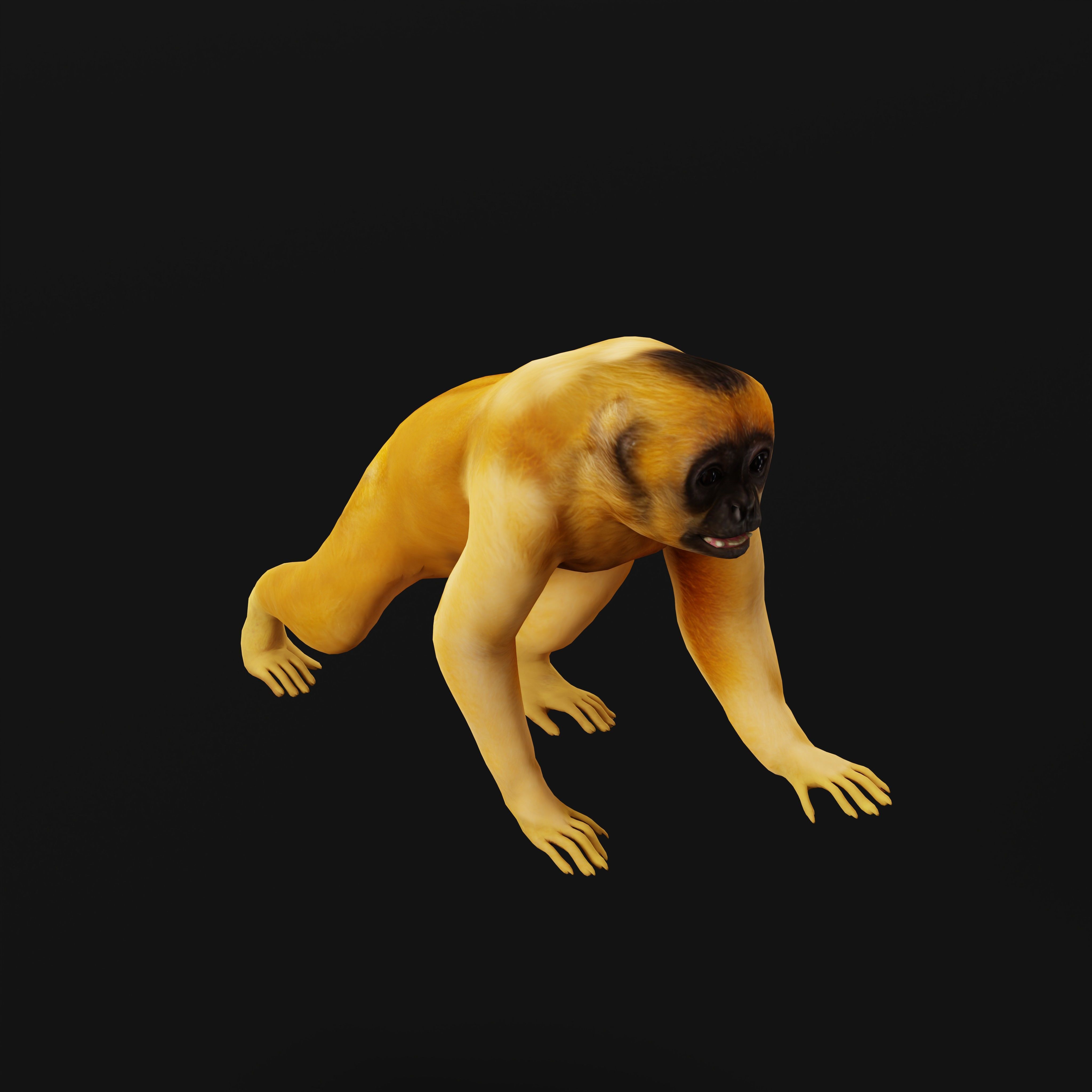 Gibbons Apes Low-poly 3D model_17