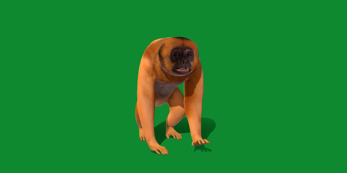 Gibbons Apes Low-poly 3D model_35