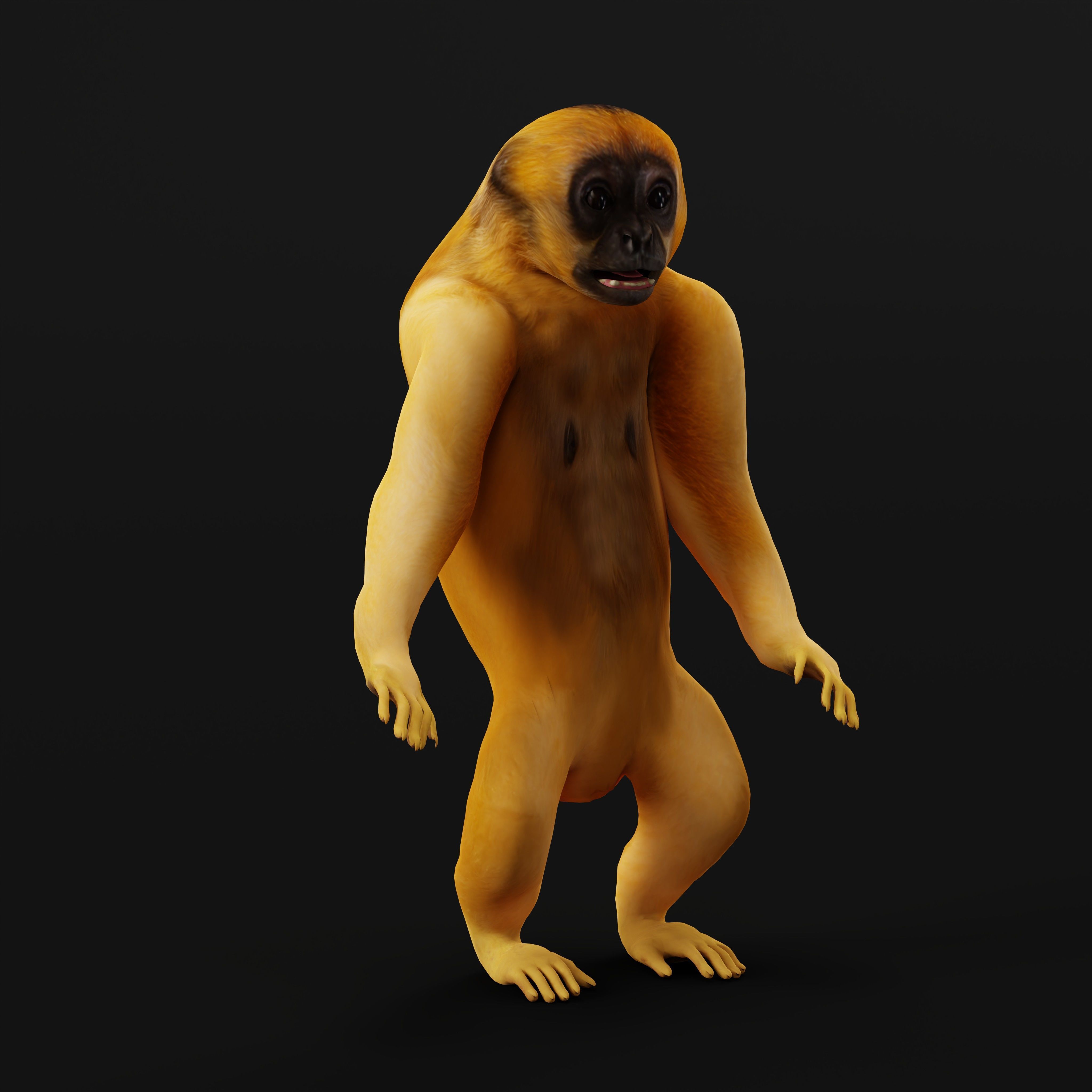 Gibbons Apes Low-poly 3D model_23