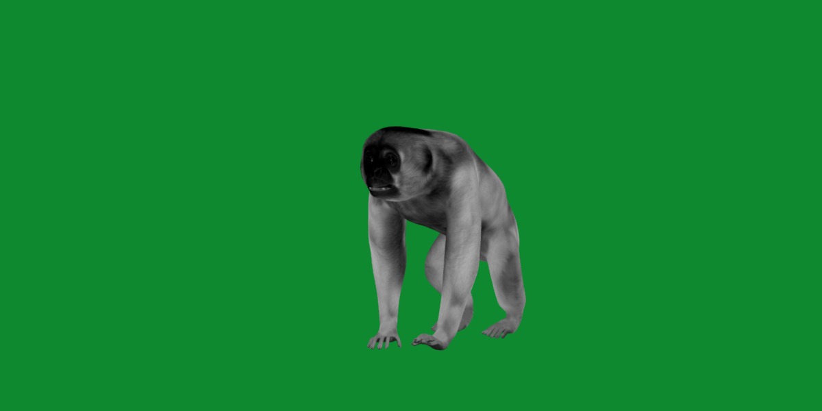 Gibbons Apes Low-poly 3D model_29