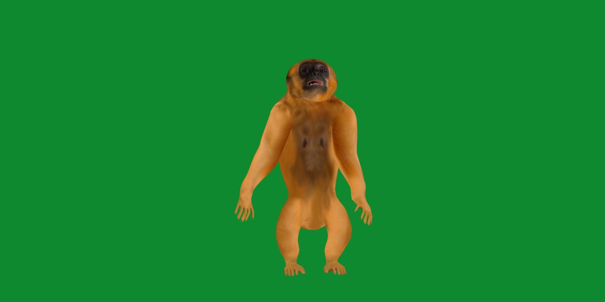 Gibbons Apes Low-poly 3D model_45