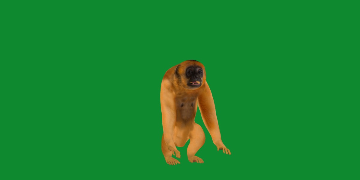 Gibbons Apes Low-poly 3D model_49