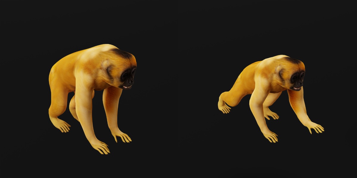 Gibbons Apes Low-poly 3D model_4