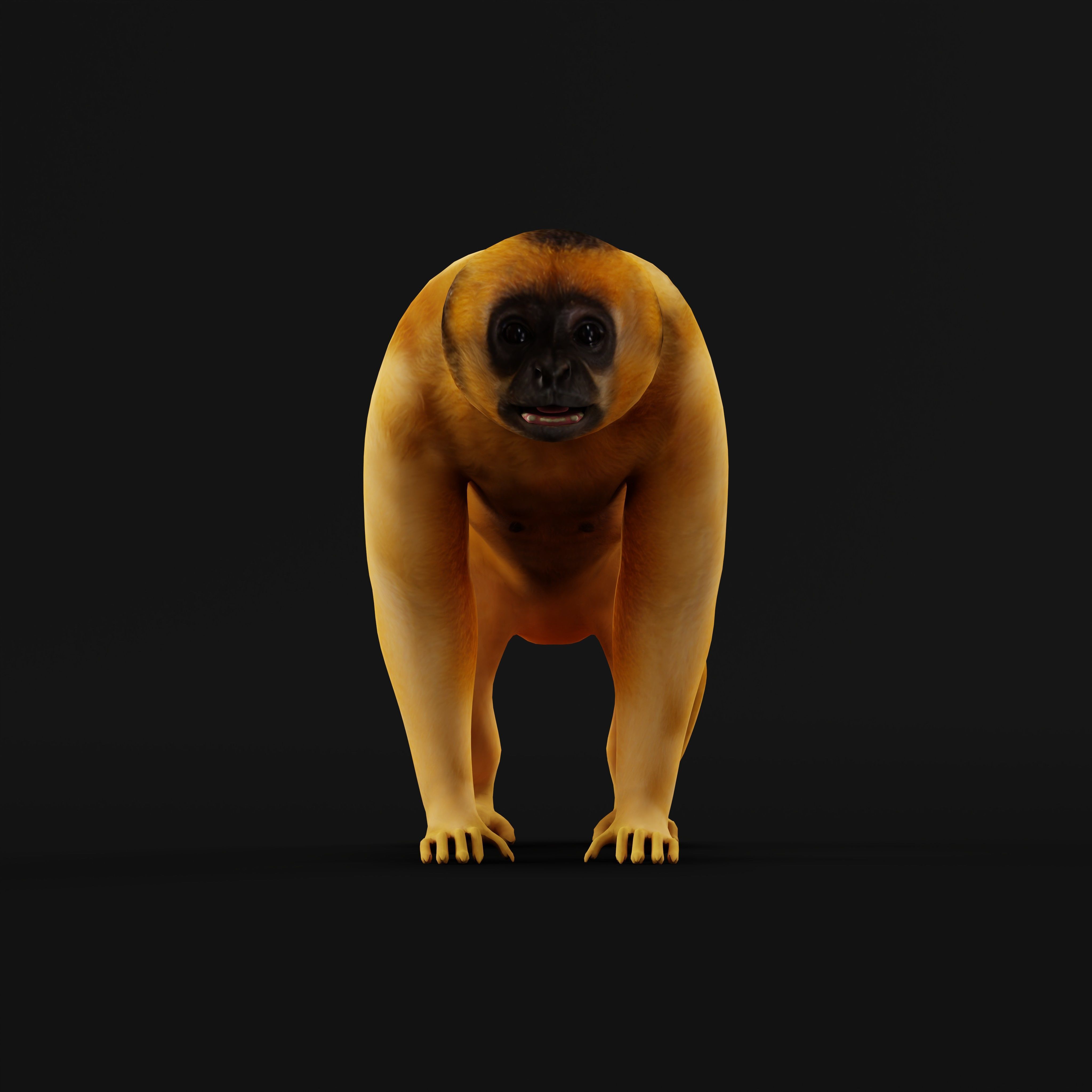 Gibbons Apes Low-poly 3D model_21