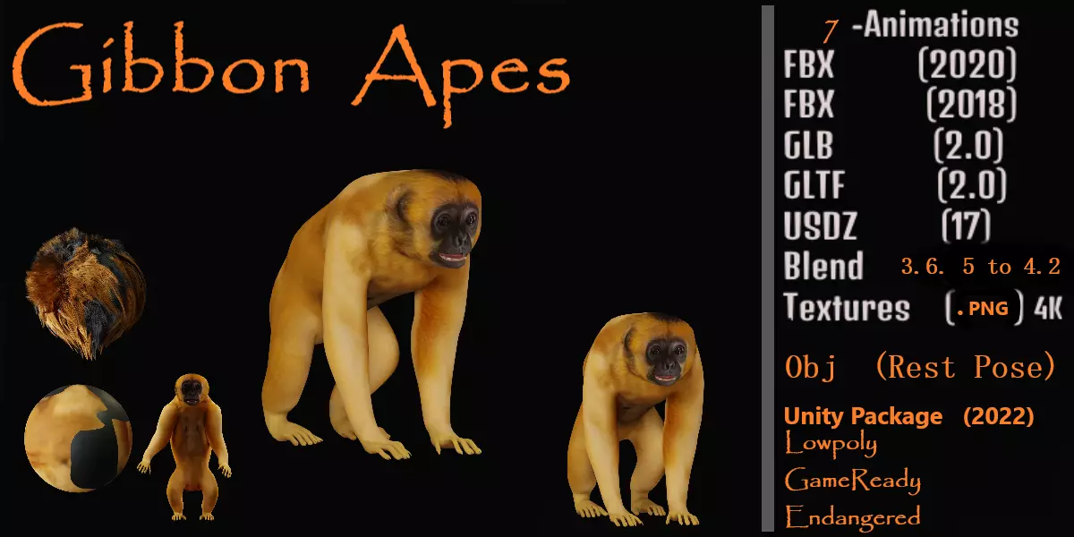 Gibbons Apes Low-poly 3D model_0