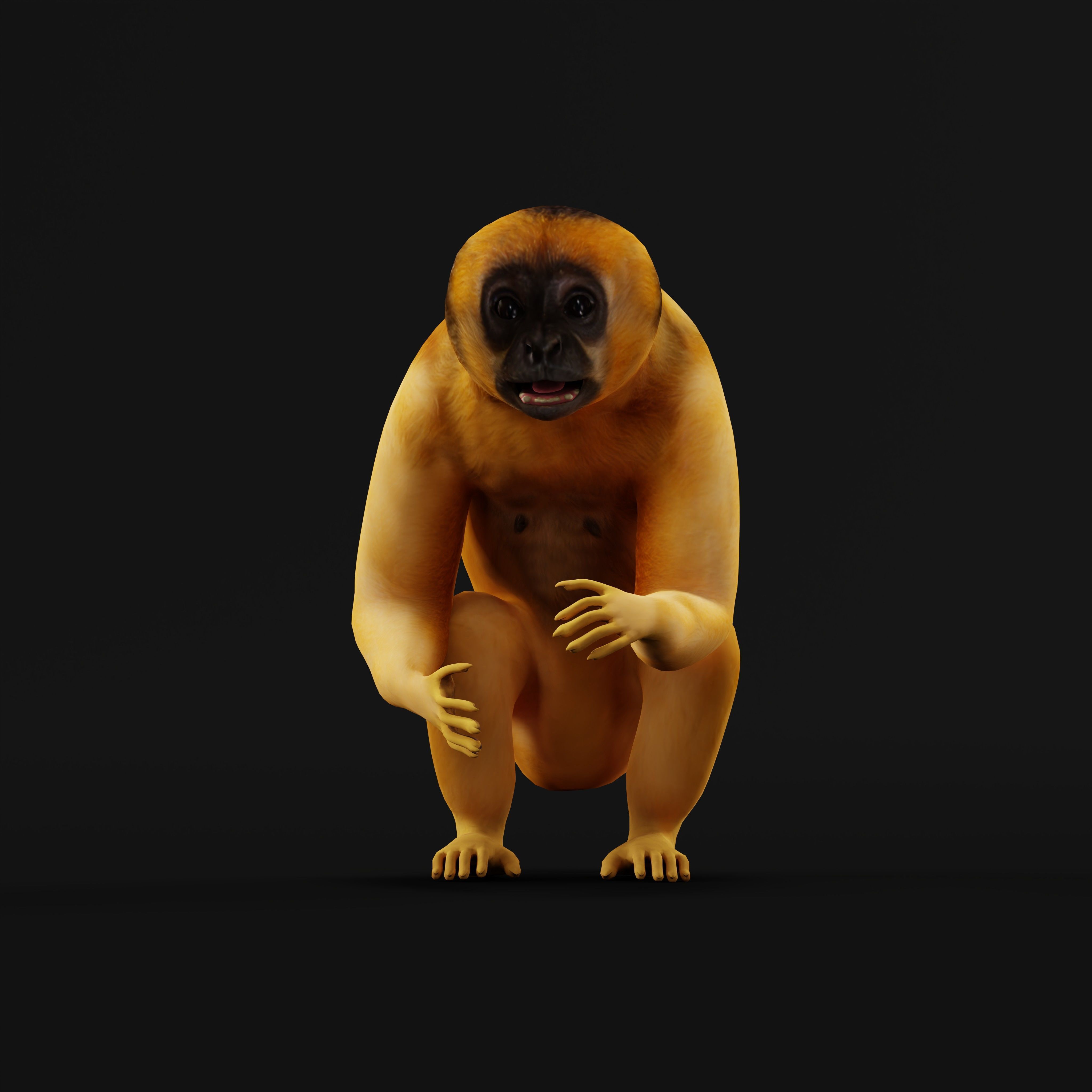 Gibbons Apes Low-poly 3D model_12