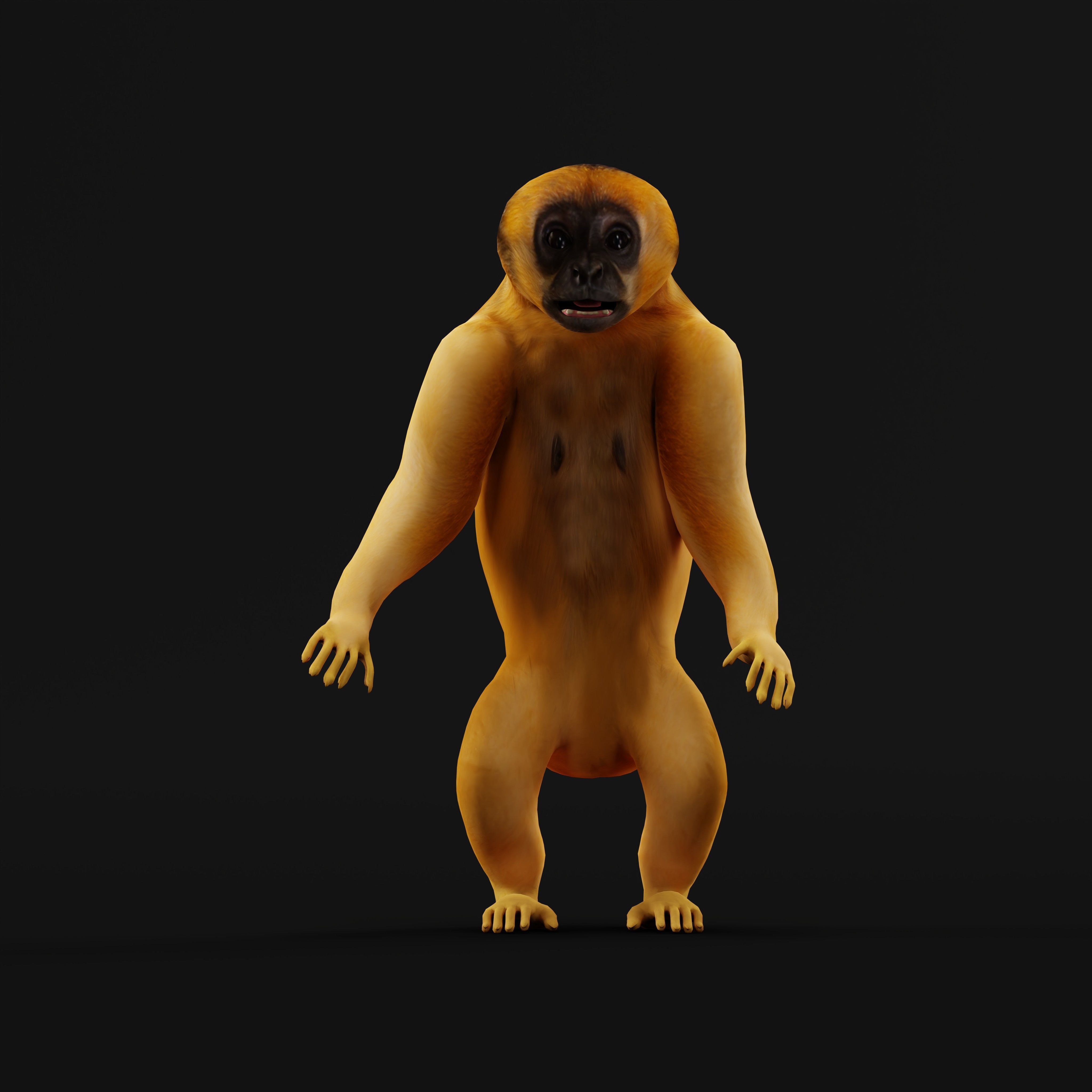 Gibbons Apes Low-poly 3D model_22