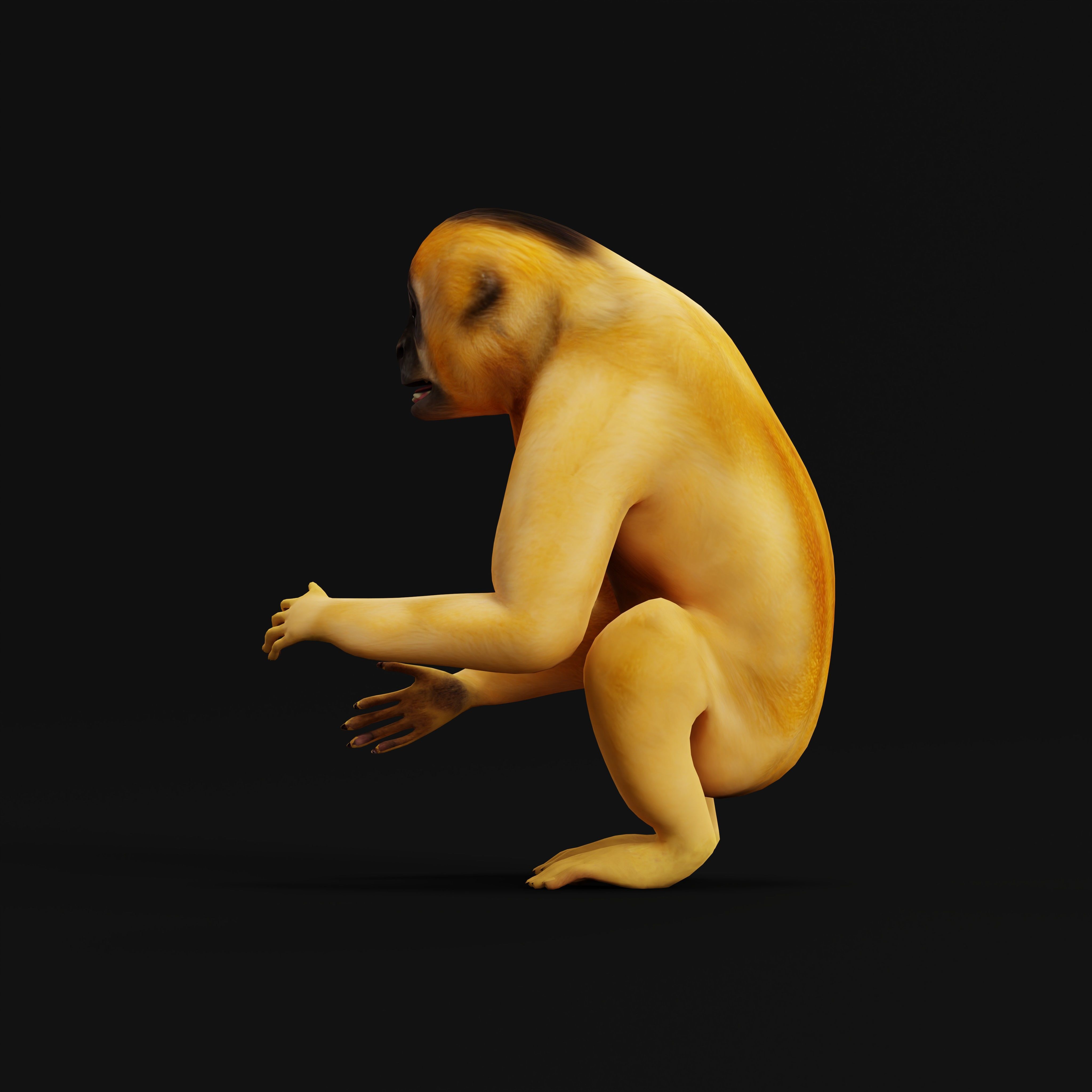 Gibbons Apes Low-poly 3D model_14