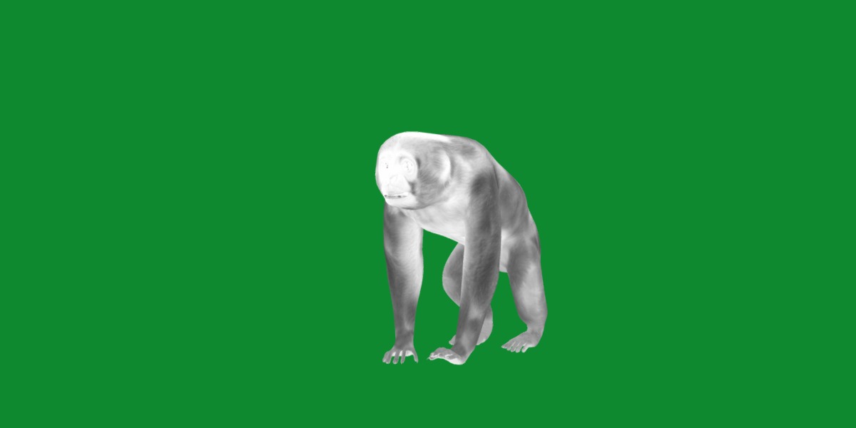 Gibbons Apes Low-poly 3D model_28