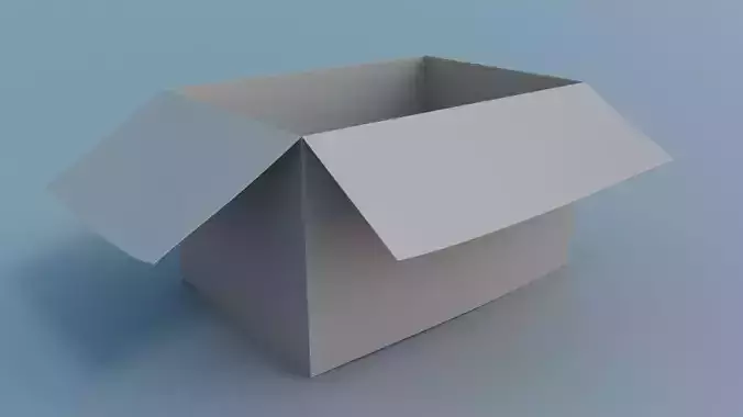 Open Cardboard Box