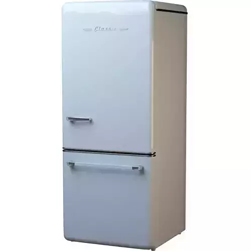 Classic Unique Fridge