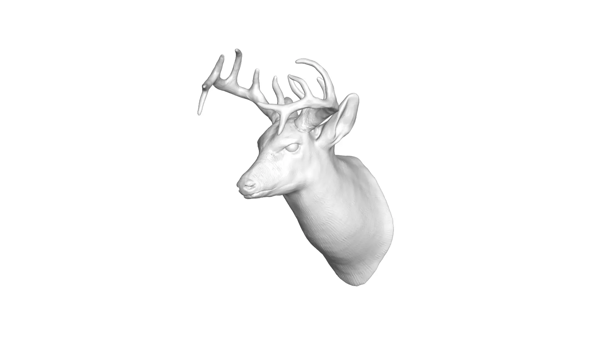 deer head 3D model_0